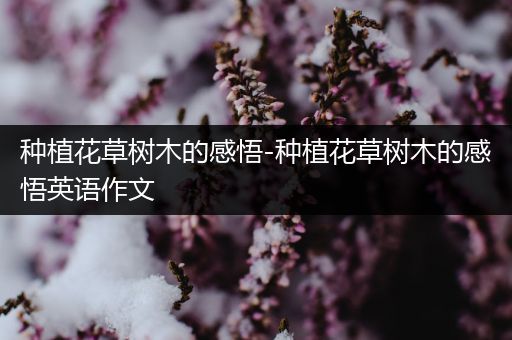种植花草树木的感悟-种植花草树木的感悟英语作文