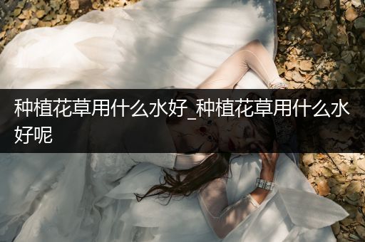 种植花草用什么水好_种植花草用什么水好呢