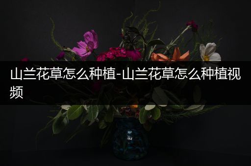 山兰花草怎么种植-山兰花草怎么种植视频