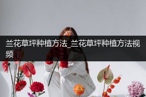 兰花草坪种植方法_兰花草坪种植方法视频