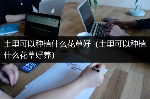 土里可以种植什么花草好（土里可以种植什么花草好养）