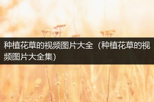 种植花草的视频图片大全（种植花草的视频图片大全集）