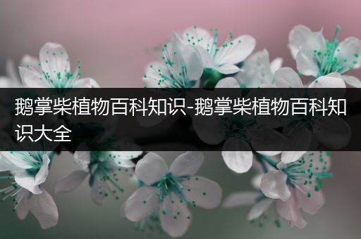 鹅掌柴植物百科知识-鹅掌柴植物百科知识大全