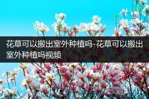 花草可以搬出室外种植吗-花草可以搬出室外种植吗视频