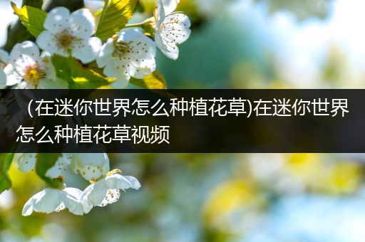 （在迷你世界怎么种植花草)在迷你世界怎么种植花草视频