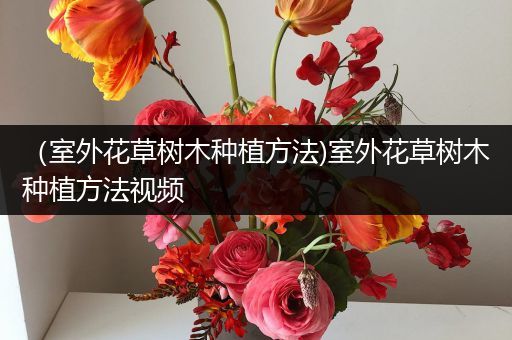 （室外花草树木种植方法)室外花草树木种植方法视频