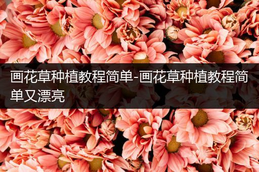 画花草种植教程简单-画花草种植教程简单又漂亮