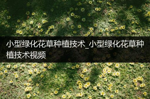 小型绿化花草种植技术_小型绿化花草种植技术视频