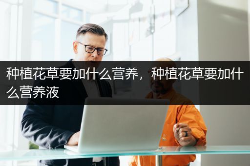 种植花草要加什么营养，种植花草要加什么营养液