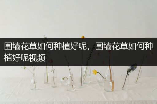 围墙花草如何种植好呢，围墙花草如何种植好呢视频