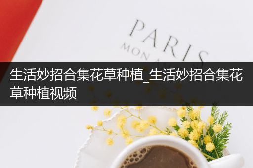 生活妙招合集花草种植_生活妙招合集花草种植视频
