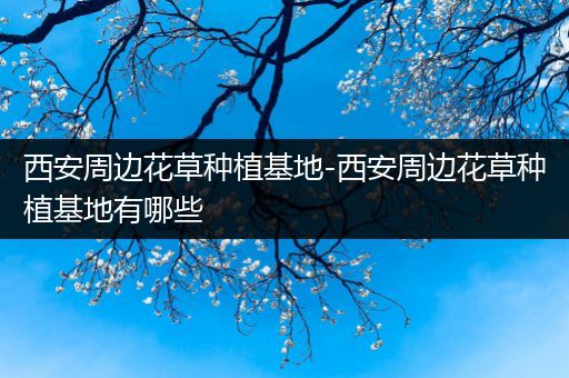 西安周边花草种植基地-西安周边花草种植基地有哪些