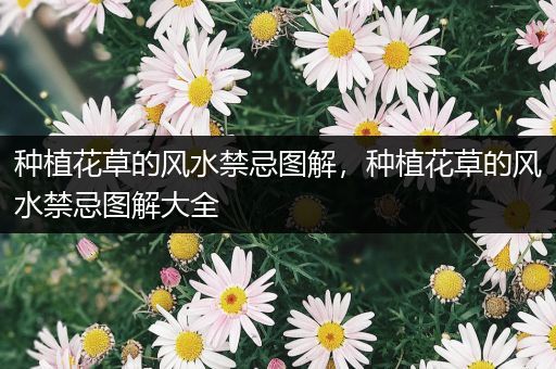 种植花草的风水禁忌图解，种植花草的风水禁忌图解大全