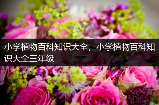 小学植物百科知识大全，小学植物百科知识大全三年级