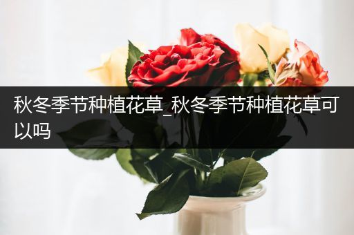 秋冬季节种植花草_秋冬季节种植花草可以吗