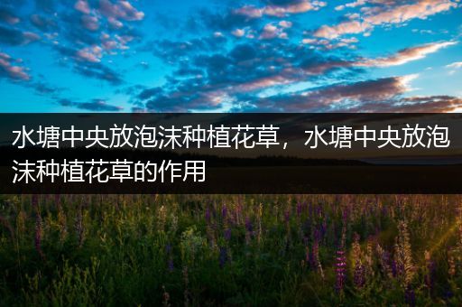 水塘中央放泡沫种植花草，水塘中央放泡沫种植花草的作用