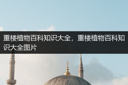 重楼植物百科知识大全，重楼植物百科知识大全图片