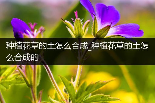种植花草的土怎么合成_种植花草的土怎么合成的