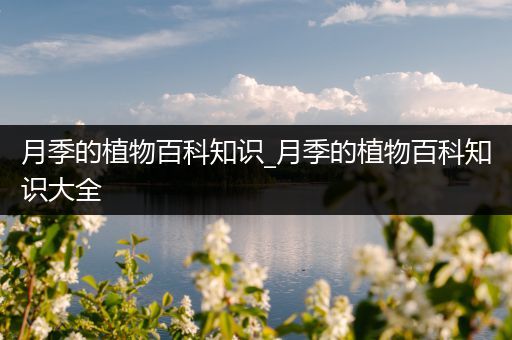 月季的植物百科知识_月季的植物百科知识大全
