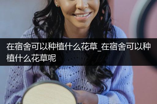 在宿舍可以种植什么花草_在宿舍可以种植什么花草呢