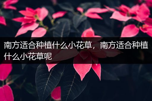 南方适合种植什么小花草，南方适合种植什么小花草呢