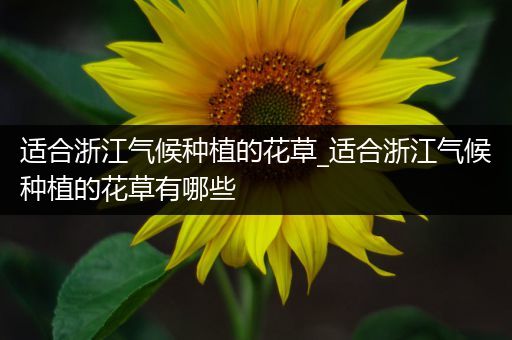 适合浙江气候种植的花草_适合浙江气候种植的花草有哪些