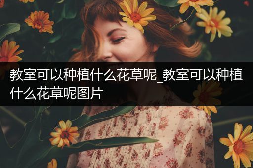 教室可以种植什么花草呢_教室可以种植什么花草呢图片