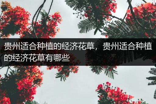 贵州适合种植的经济花草，贵州适合种植的经济花草有哪些
