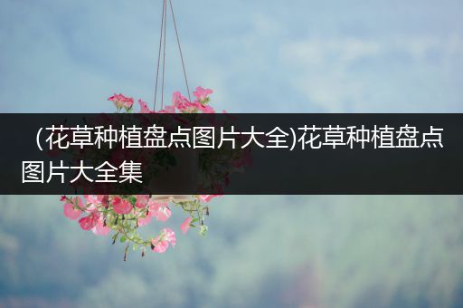 （花草种植盘点图片大全)花草种植盘点图片大全集