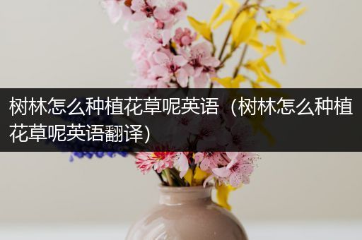 树林怎么种植花草呢英语（树林怎么种植花草呢英语翻译）
