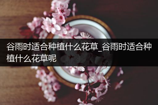 谷雨时适合种植什么花草_谷雨时适合种植什么花草呢