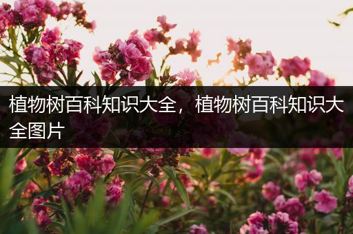 植物树百科知识大全，植物树百科知识大全图片