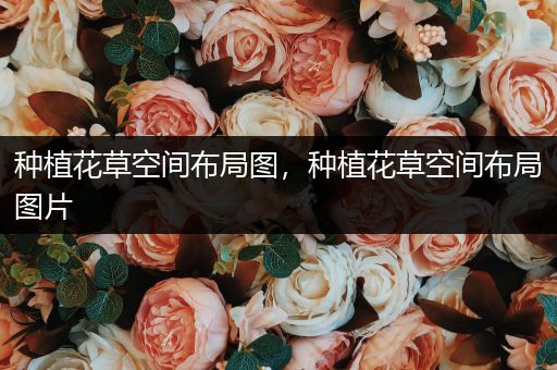 种植花草空间布局图，种植花草空间布局图片