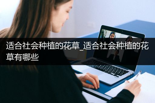 适合社会种植的花草_适合社会种植的花草有哪些