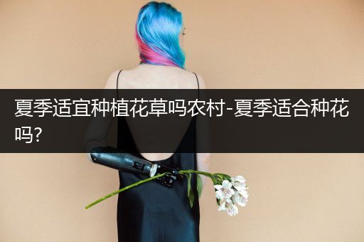 夏季适宜种植花草吗农村-夏季适合种花吗?