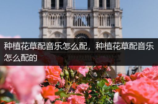 种植花草配音乐怎么配，种植花草配音乐怎么配的