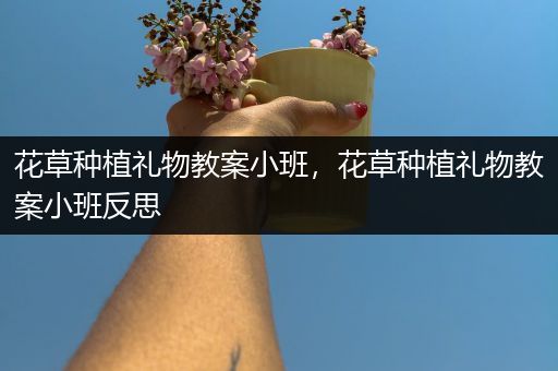 花草种植礼物教案小班，花草种植礼物教案小班反思