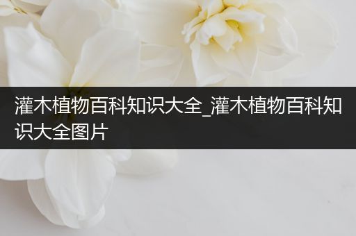 灌木植物百科知识大全_灌木植物百科知识大全图片