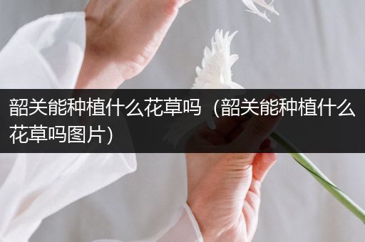 韶关能种植什么花草吗（韶关能种植什么花草吗图片）