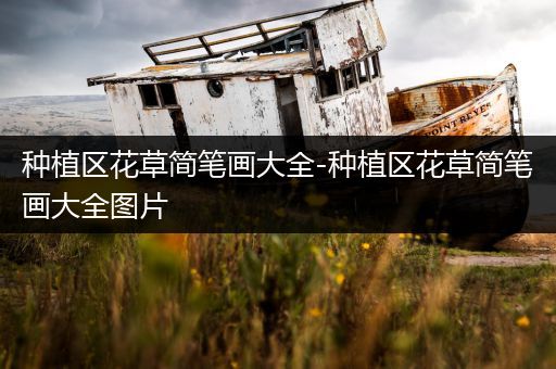 种植区花草简笔画大全-种植区花草简笔画大全图片