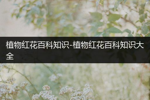 植物红花百科知识-植物红花百科知识大全