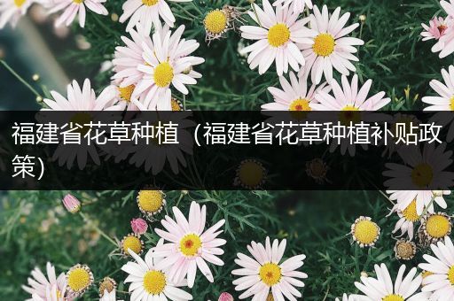 福建省花草种植（福建省花草种植补贴政策）