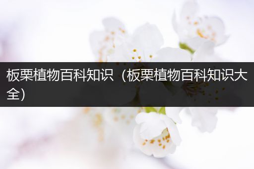 板栗植物百科知识（板栗植物百科知识大全）