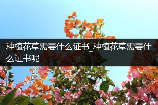 种植花草需要什么证书_种植花草需要什么证书呢