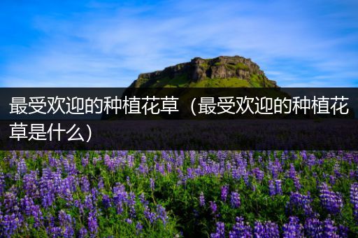 最受欢迎的种植花草（最受欢迎的种植花草是什么）