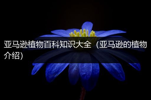 亚马逊植物百科知识大全（亚马逊的植物介绍）