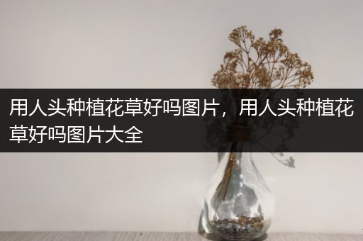 用人头种植花草好吗图片，用人头种植花草好吗图片大全