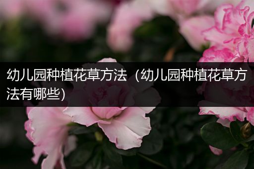 幼儿园种植花草方法（幼儿园种植花草方法有哪些）