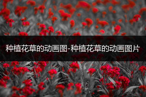 种植花草的动画图-种植花草的动画图片