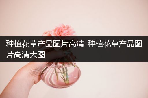 种植花草产品图片高清-种植花草产品图片高清大图